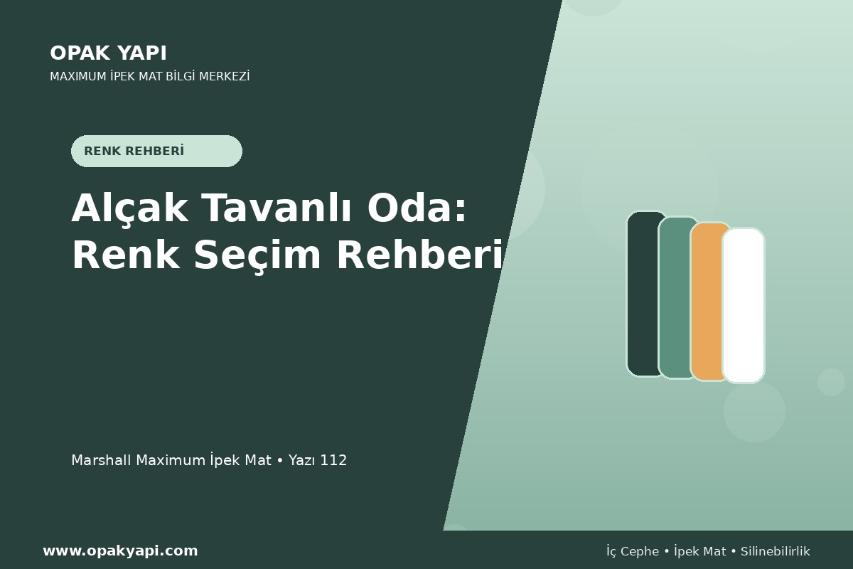 Maximum İpek Mat ile Alçak Tavanlı Oda: Renk Seçim Rehberi