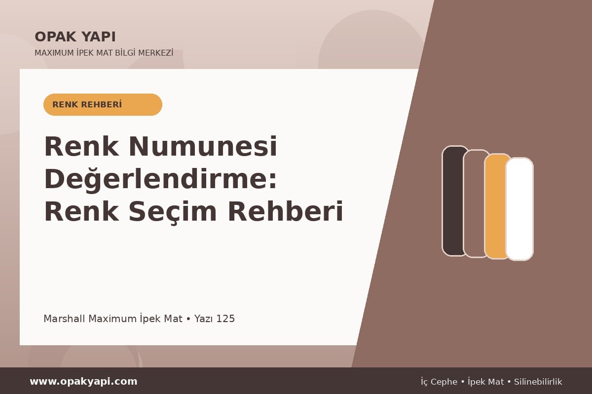 Maximum İpek Mat ile Renk Numunesi Değerlendirme: Renk Seçim Rehberi