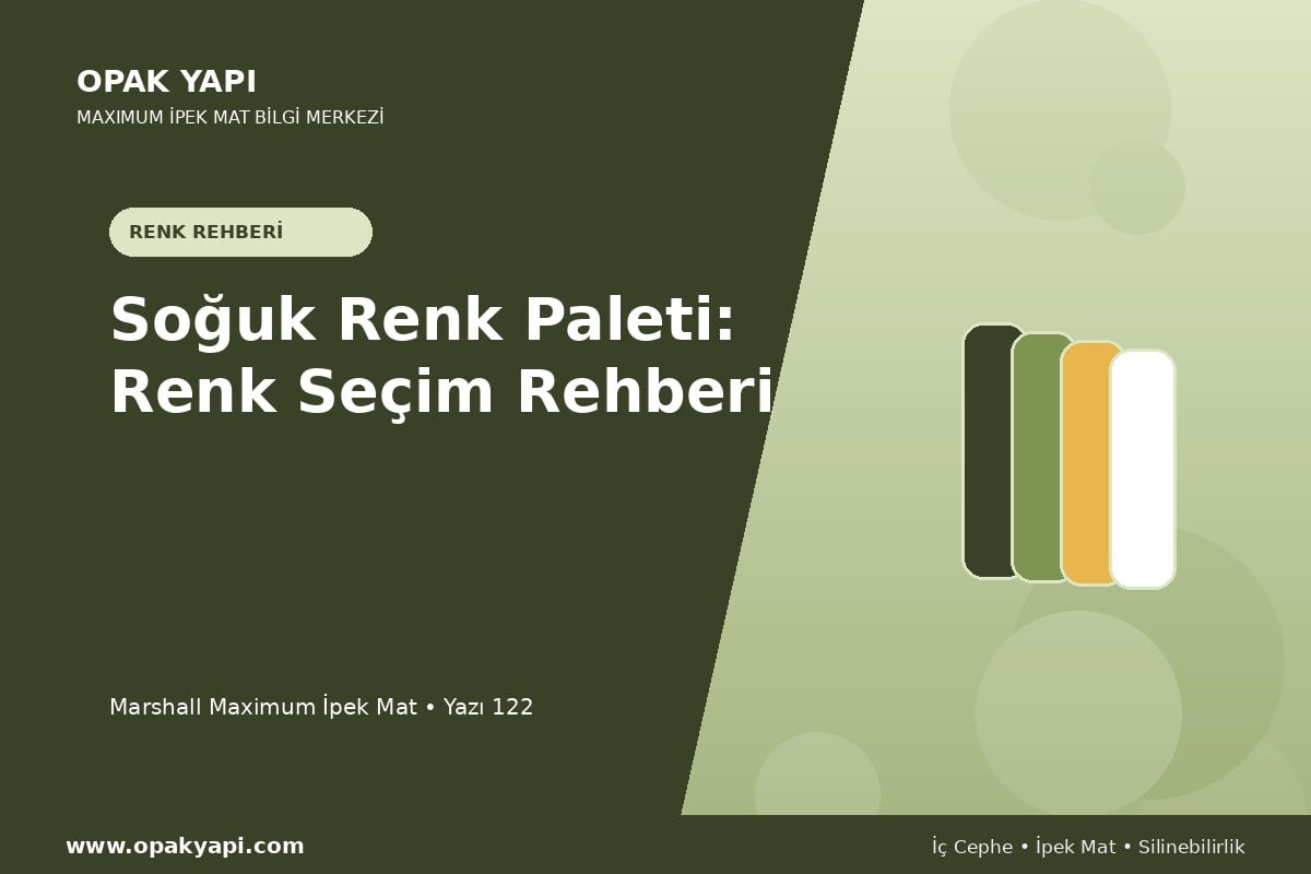 Maximum İpek Mat ile Soğuk Renk Paleti: Renk Seçim Rehberi