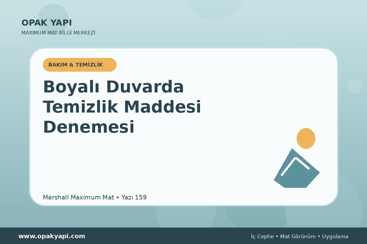 Maximum Mat Boyalı Duvarda Duvarı Bölgesel Temizleme