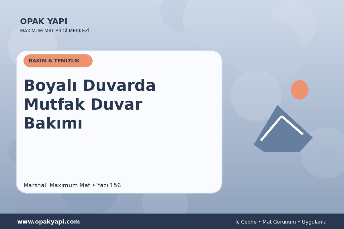 Maximum Mat Boyalı Duvarda Mutfak Duvar Bakımı