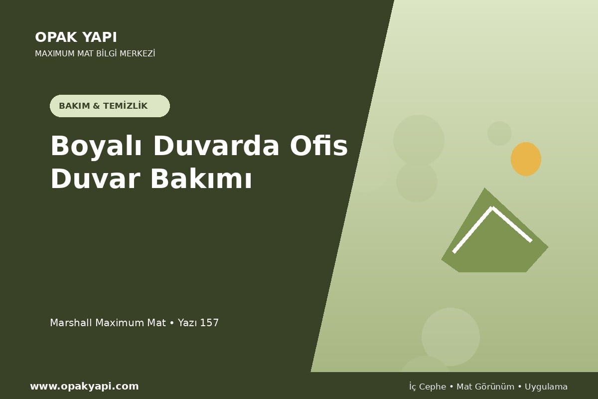 Maximum Mat Boyalı Duvarda Ofis Duvar Bakımı