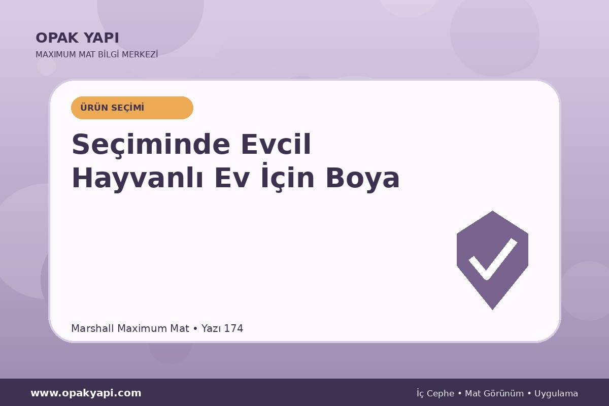 Maximum Mat Seçiminde Evcil Hayvanlı Ev İçin Boya