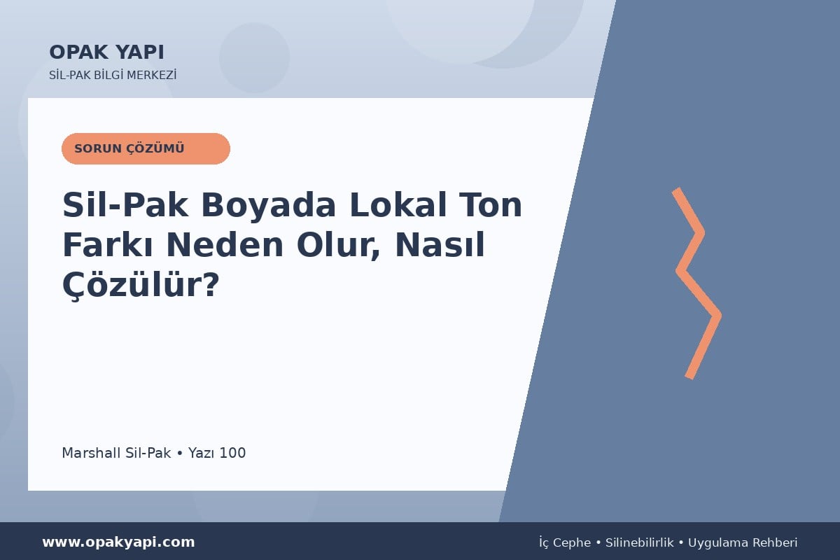 Sil-Pak Boyada Lokal Ton Farkı Neden Olur, Nasıl Çözülür?