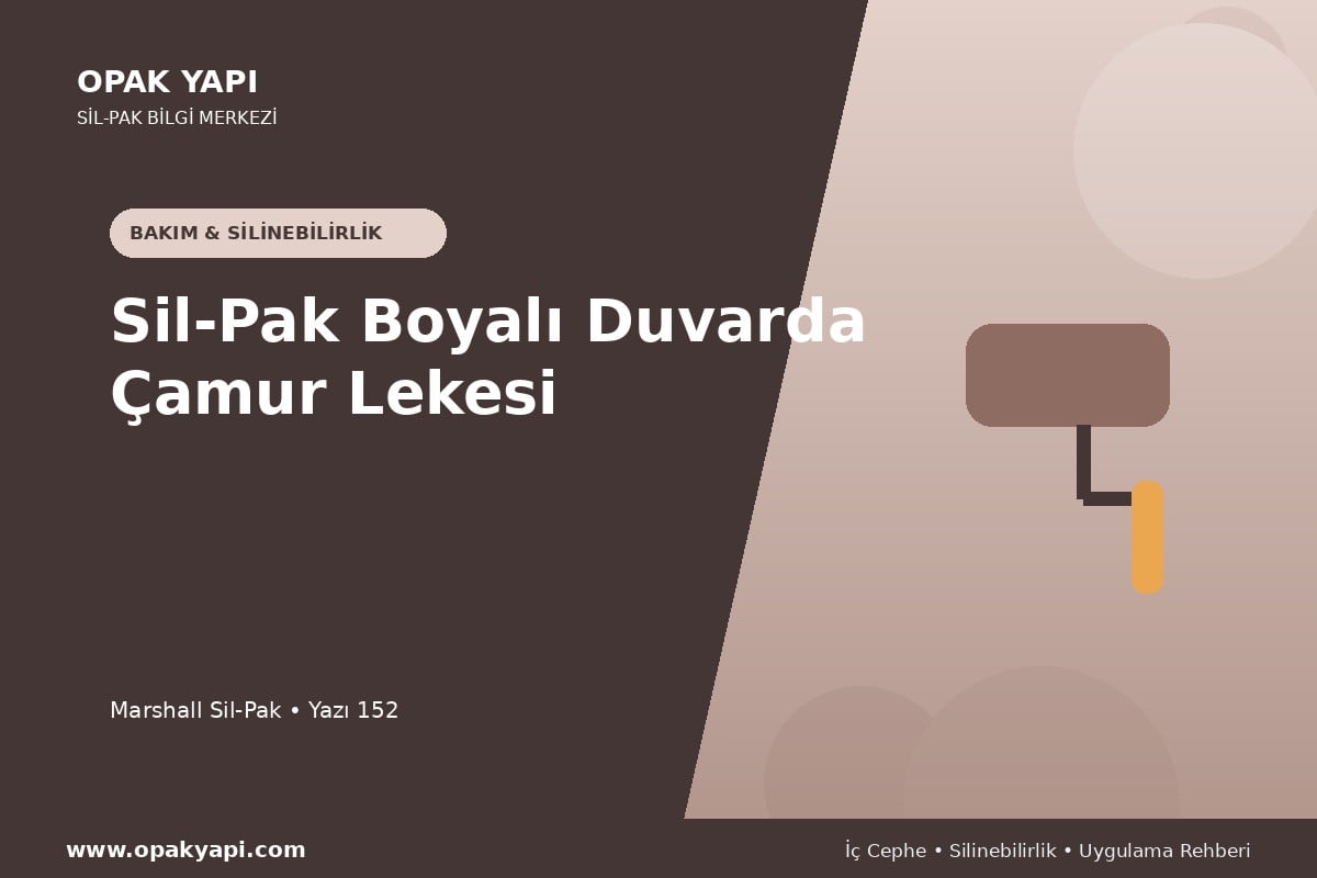 Sil-Pak Boyalı Duvarda Çamur Lekesi