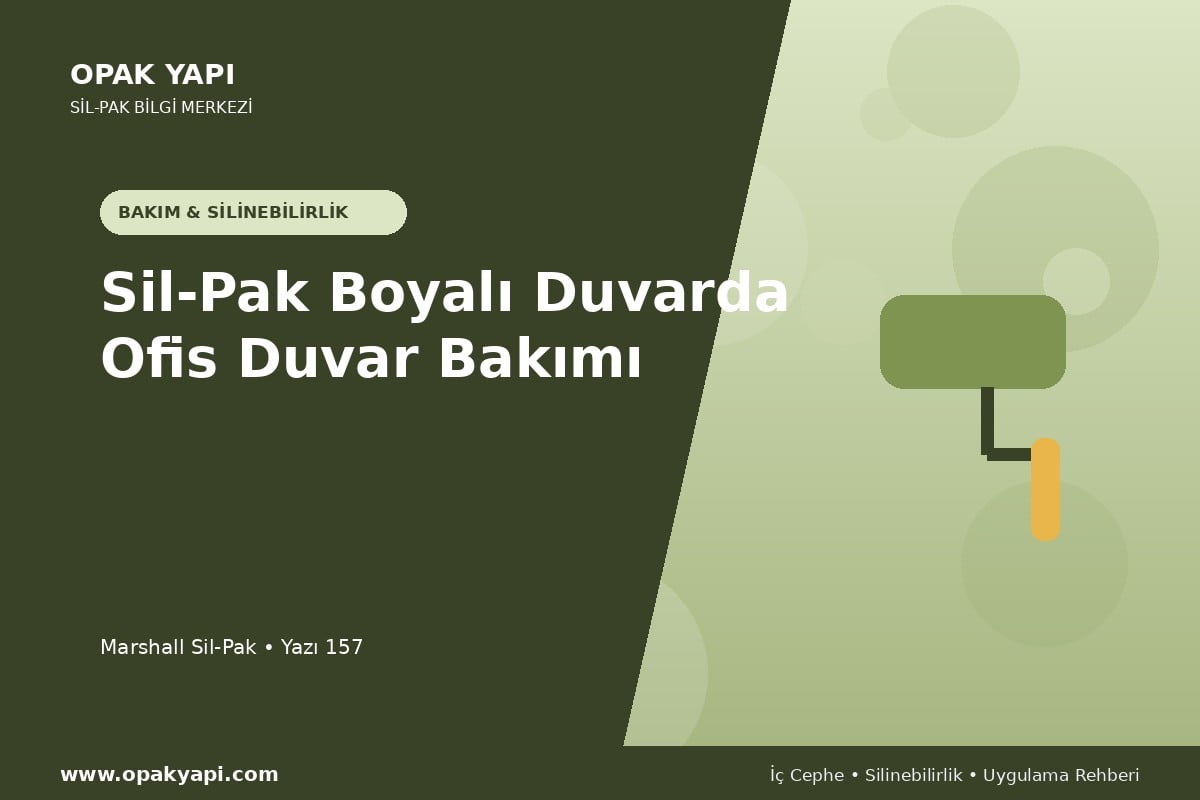 Sil-Pak Boyalı Duvarda Ofis Duvar Bakımı