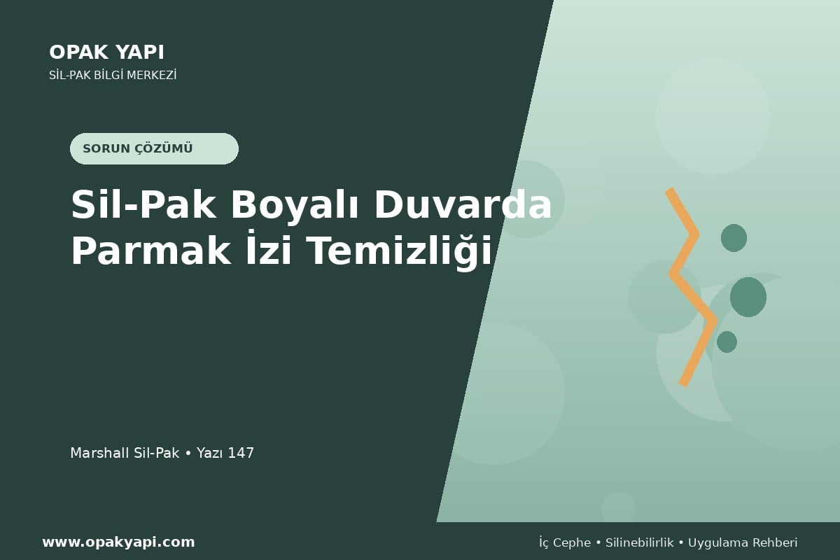 Sil-Pak Boyalı Duvarda Parmak İzi Temizliği