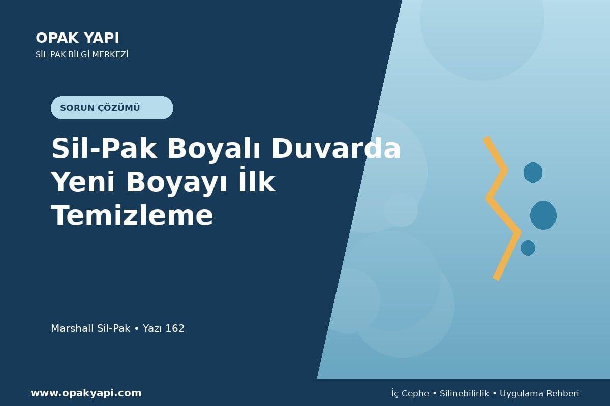 Sil-Pak Boyalı Duvarda Yeni Boyayı İlk Temizleme