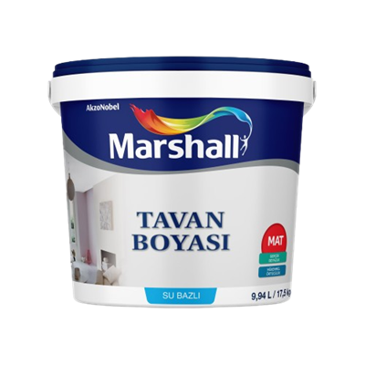 Marshall Tavan Boyası