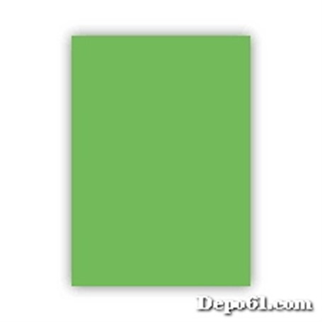 Keskin Color Fon Kartonu 50x70 110 gr Açık Yeşil
