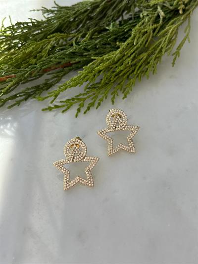 Vip 14K Taşlı Yıldız Küpe