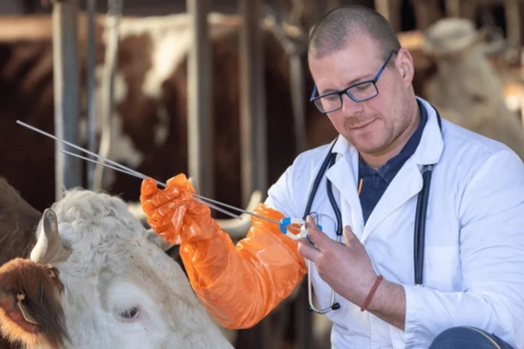 Suni Tohumlama Yöntemleri ve Ekipmanları