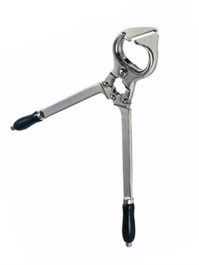 Dana Burma (Burdizo) Pensi – 45 cm