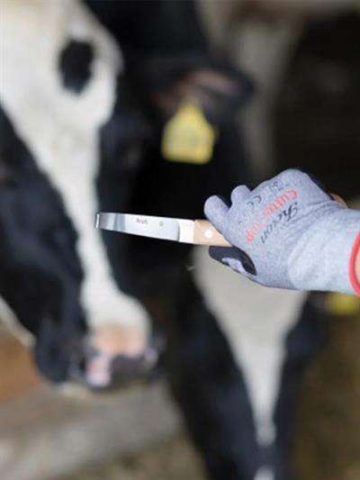 Kerbl Renet Sağ Profi