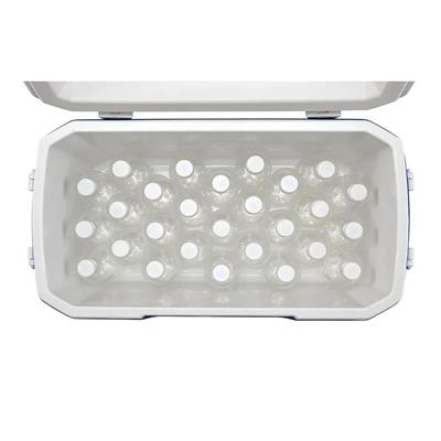 Coleman Poly-Lite 48 QT Taşınabilir Soğutucu Buzluk 45.7 Lt