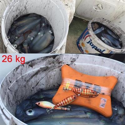 DTD Wounded Fish Egi 3.5 Glow 105 mm 17.5 gr Kalamar Zokası