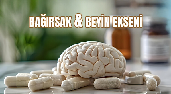 Bağırsak-Beyin Ekseni Üzerinden Takviyeler Ruh Haline Etkisi