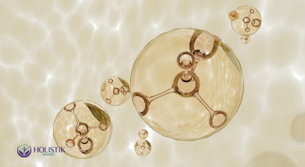 Esansiyel Amino Asitlerin Önemi ve Görevleri