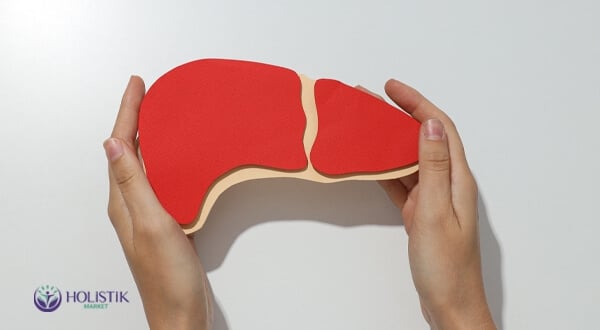 Karaciğeri Koruyan Besinler ve Yöntemler