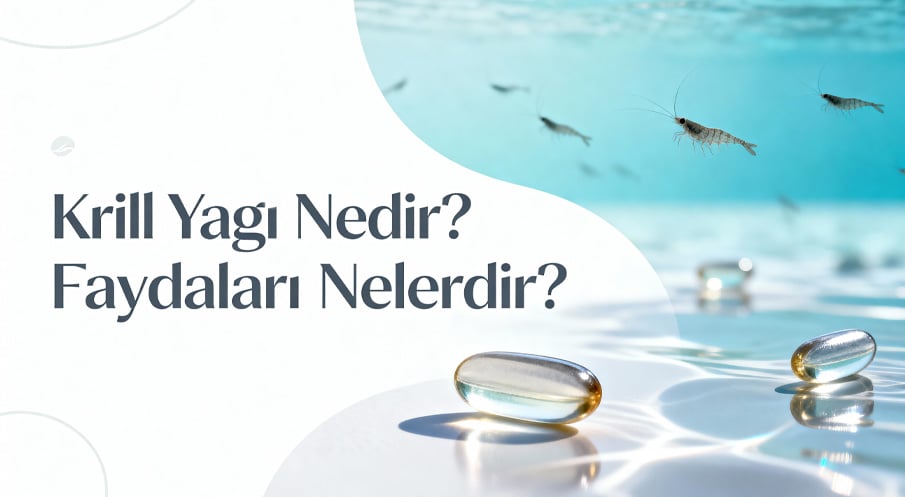 Krill Yağı Nedir? Faydaları Nelerdir?