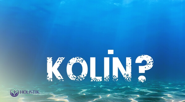 Krill Yağındaki Kolin Nedir, Ne İşe Yarar ?