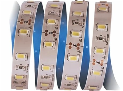 1 Adet 5 METRE CATA CT 4537 İç Mekan 12V 12 Çip Şerit Led  3200K Günışığı