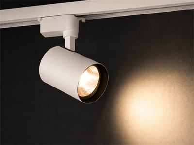 1 Adet NOAS YL29 3002 Paris 30W Ray Spot Beyaz Kasa 3200K Günışığı