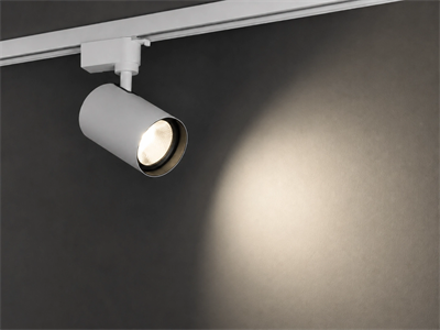 1 Adet NOAS YL29 3007 Paris 30W Beyaz Kasa Ray Spot 4000K