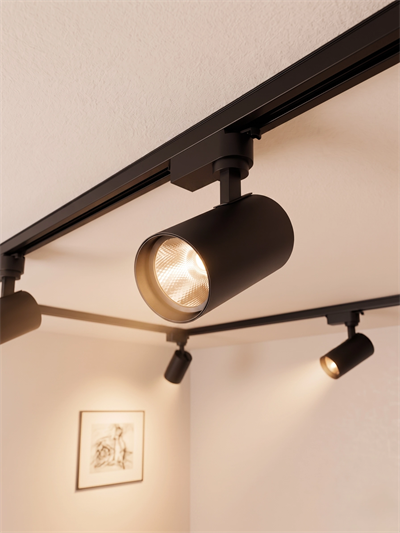 1 Adet NOAS YL29 3102 Paris 30W Siyah Kasa Ray Spot 3200K Gün Işığı