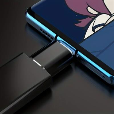 1 Adet Usb to Type-C Adaptor Dişi Çevirici Dönüştürücü Adaptör (3936)