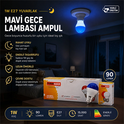 10 Adet 1w E27 Mavi Yuvarlak Gece Lambası Led Ampul Eamp-075 Bx40