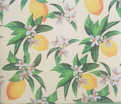 10 Adet Kurutmalık Mikrofiber Kurutma Bulaşık Tezgah Altlığı