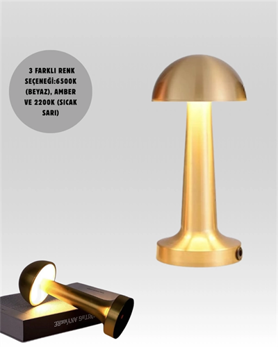 %100 Kademeli Ayarlanabilir Işık – USB Şarjlı Masa Lambası