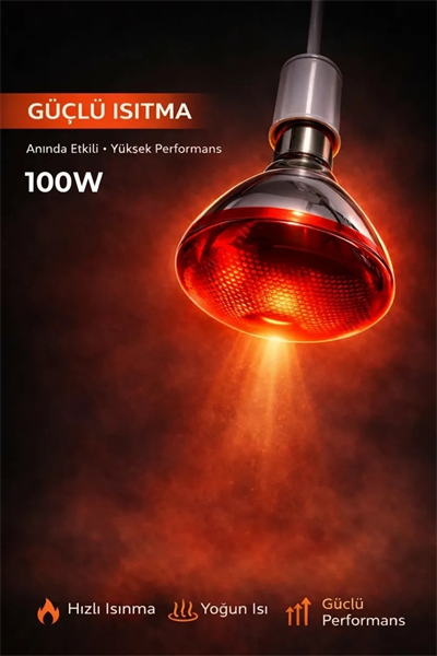100W Isıtıcı Ampul Kırmızı Isı Lambası Civciv Kümes Kuluçka E27 Duy Isıtma Ampulü