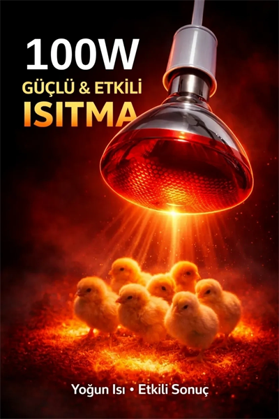 100W Isıtıcı Ampul Kırmızı Isı Lambası Civciv Kümes Kuluçka E27 Duy Isıtma Ampulü