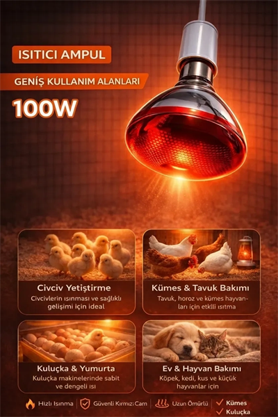 100W Isıtıcı Ampul Kırmızı Isı Lambası Civciv Kümes Kuluçka E27 Duy Isıtma Ampulü