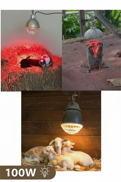 100W Kızılötesi (infrared) Isıtıcılı Hayvan Isıtma ve Kuluçka Lambası (Kırmızı Işık) E27 (Kalın Duy)