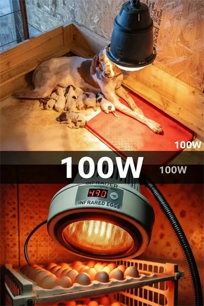 100W Kızılötesi (infrared) Isıtıcılı Hayvan Isıtma ve Kuluçka Lambası (Kırmızı Işık) E27 (Kalın Duy)