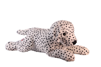 1140 90 CM DALMAÇYALI KÖPEK