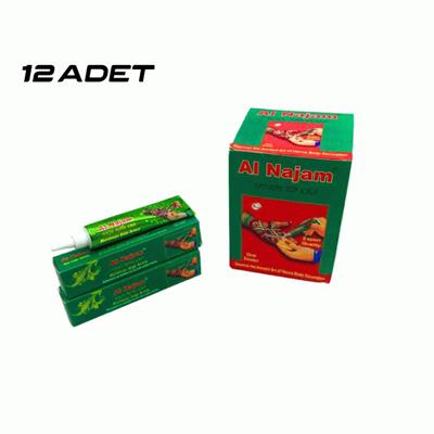 12 ADET AL NAJAM KIRMIZI TÜP KINA 30GR (3936)