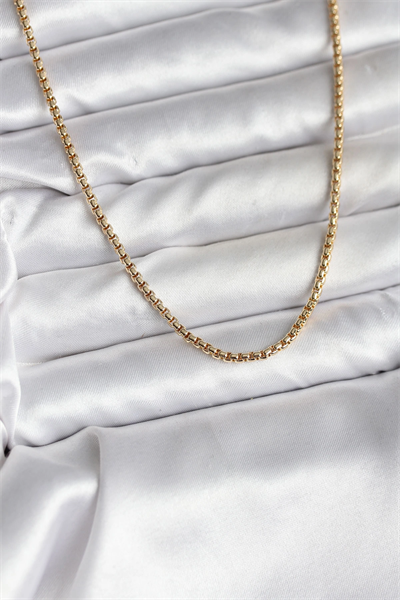 14K Gold Renk Kaplama Zincir Model CM Kadın Kolye