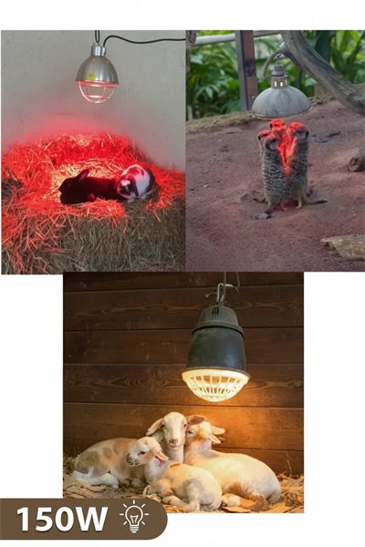 150W Kızılötesi (infrared) Isıtıcılı Hayvan Isıtma ve Kuluçka Lambası (Kırmızı Işık) E27 (Kalın Duy)
