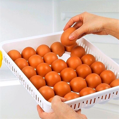 15'li yumurta Saklama Kabı Bx40