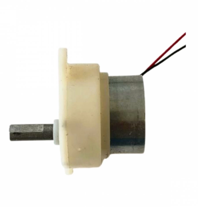 2 Adet Kuluçka Makinesi Mini Viyol Çevirme Motoru 12 Volt