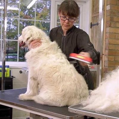 23 KG Üzeri Uzun Tüylü Köpekler İçin Tüy Toplayıcı Ergonomik Tarak (3936)