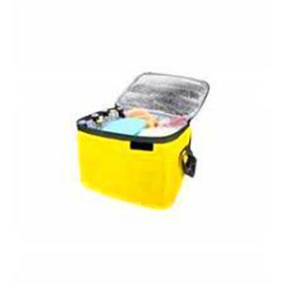 24LT TERMOS ÇANTA (3936)