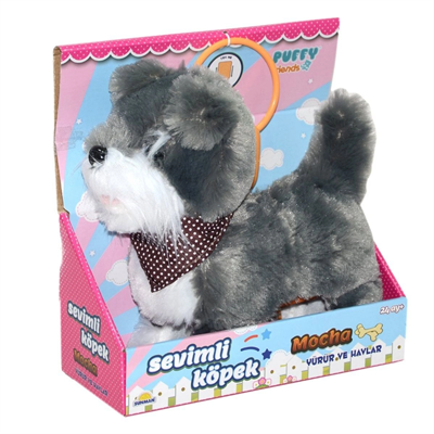 2859  Sevimli Köpek Mocha