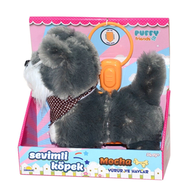 2859  Sevimli Köpek Mocha
