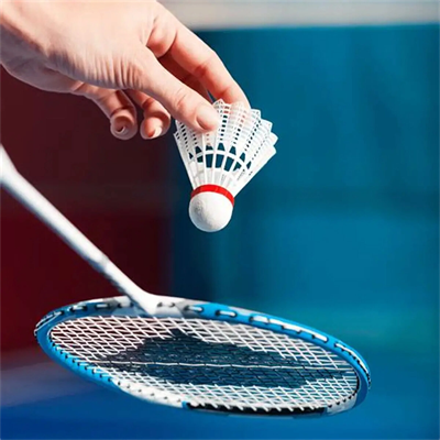 2pcs Badminton Raket Seti Çantalı Bx40
