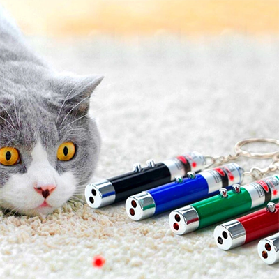 3 Fonksiyonlu Kırmızı Beyaz Işıklı Led Lazer Kedi Köpek Oyuncak Anahtarlık Bx40